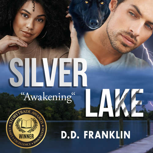 Audiobook Silver Lake Awakening - DD Franklin - Dawn Rocker