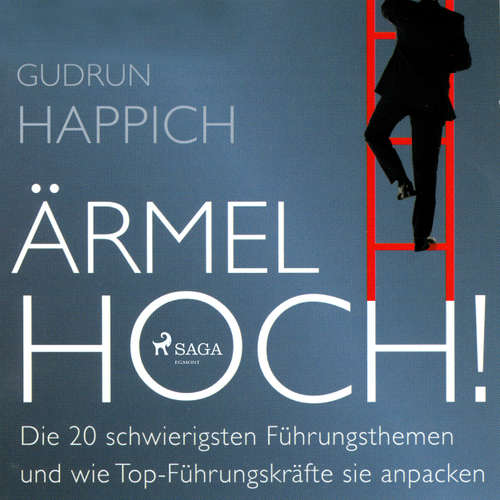 Ärmel hoch! - Die 20 schwierigsten Führungsthemen und wie Top-Führungskräfte sie anpacken