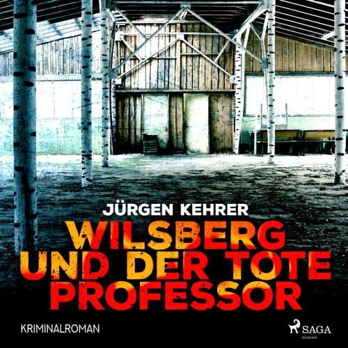Wilsberg und der tote Professor - Kriminalroman