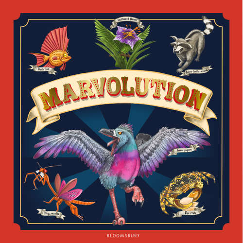 Audiobook Marvolution - Claire Asher - Penelope Rawlins