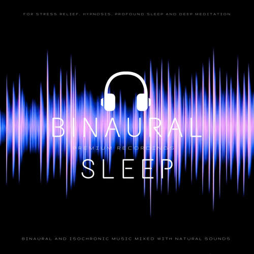 Audiobook Binaural Sleep - Binaural and Isochronic Sleep Music Mixed with Natural Sounds - James Aniston - Niklas Page