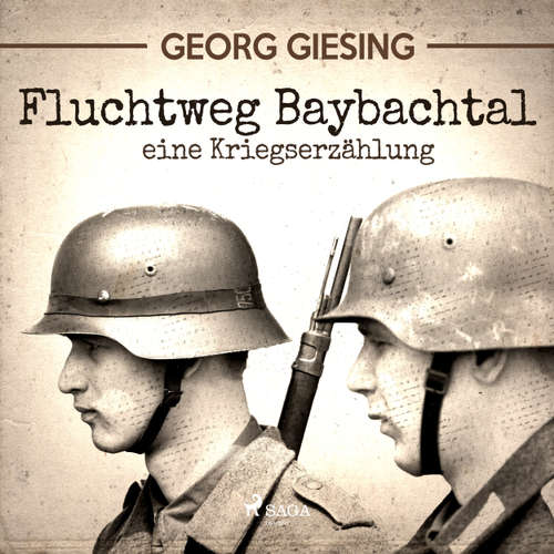 Fluchtweg Baybachtal - Eine Kriegserzählung