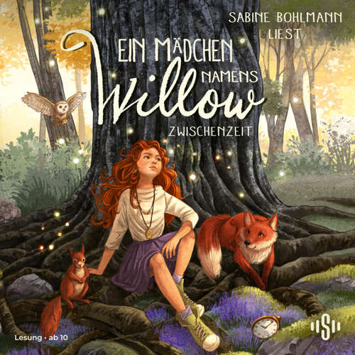 Hoerbuch Ein Mädchen namens Willow 6: Zwischenzeit - Sabine Bohlmann - Sabine Bohlmann
