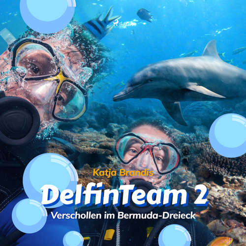 Verschollen im Bermuda-Dreieck - DelfinTeam 2