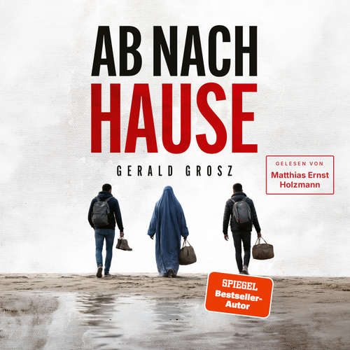 Hoerbuch Ab nach Hause - Gerald Grosz - Matthias Ernst Holzmann