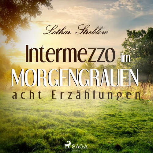 Intermezzo im Morgengrauen - Acht Erzählungen