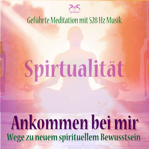 Hoerbuch Spiritualität: Ankommen bei mir - Wege zu neuem spirituellem Bewusstsein - Geführte Meditation mit 528 Hz Musik - Franziska Diesmann - Franziska Diesmann