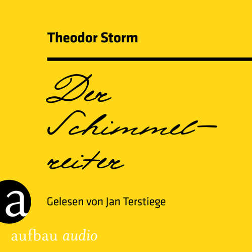 Hoerbuch Der Schimmelreiter - Theodor Storm - Jan Terstiege