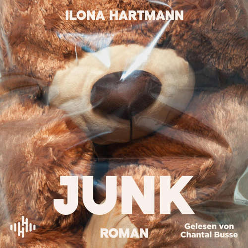 Hoerbuch Junk - Ilona Hartmann - Chantal Busse
