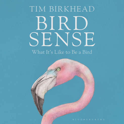 Audiobook Bird Sense - Tim Birkhead - John Sackville