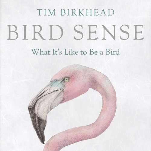 Audiobook Bird Sense - Tim Birkhead - John Sackville