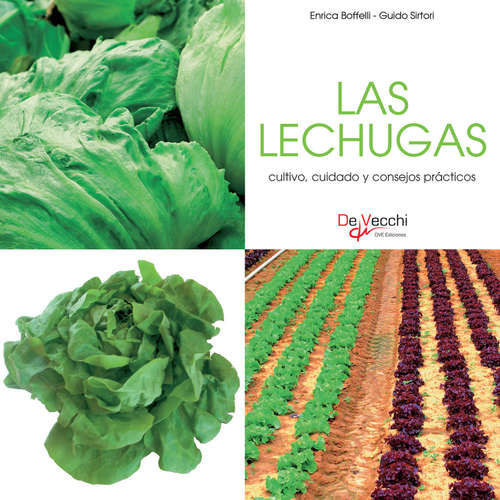 Audiolibro Las lechugas - cultivo, cuidado y condejos prácticos - Enrica Boffelli - Male synthesized voice