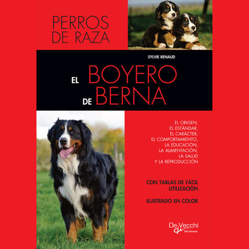 Audiolibro El boyero de Berna - Sylvie Renaud - Male synthesized voice