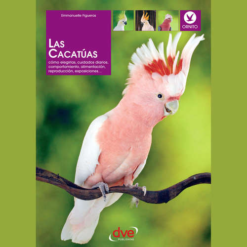 Audiolibro Las cacatúas: Cómo elegirlas, cuidados diarios, comportamiento, alimentación, reproducción, exposiciones… - Emmanuelle Figueras - Male synthesized voice