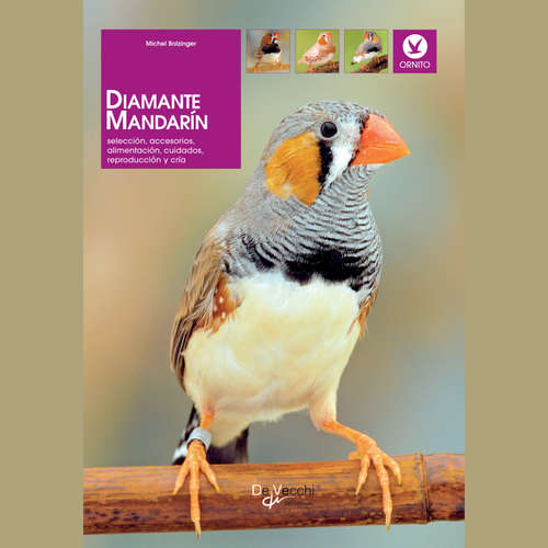Audiolibro Diamante mandarín - Michel Dr. Bolzinger - Male synthesized voice