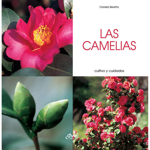 Audiolibro Las camelias - Cultivo y cuidados - Daniela Beretta - Male synthesized voice