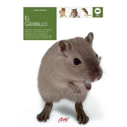 Audiolibro El gerbillo - Florence Desachy - Male synthesized voice