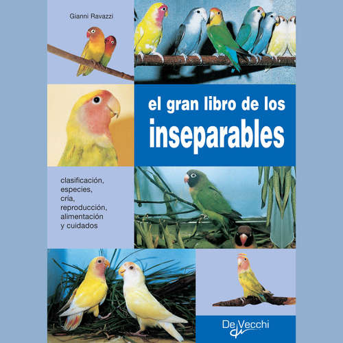 Audiolibro El gran libro de los inseparables - Gianni Ravazzi - Male synthesized voice