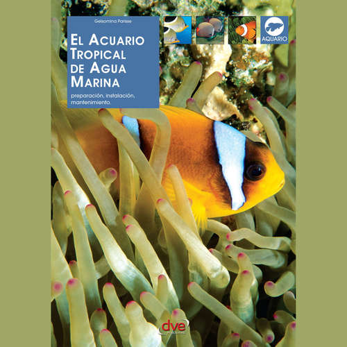 Audiolibro El acuario tropical de agua marina - Gelsomina Parisse - Male synthesized voice