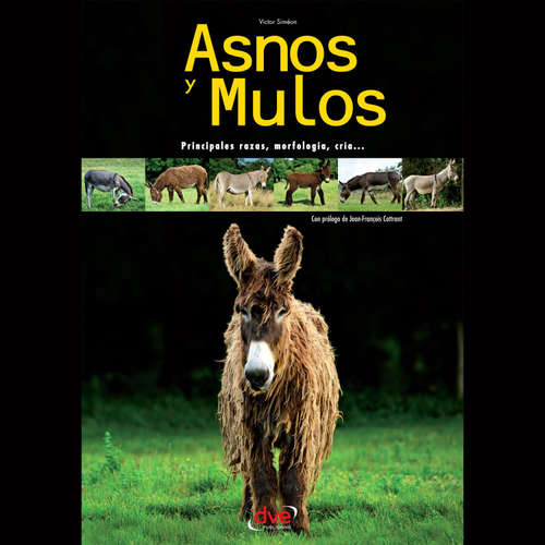 Audiolibro Asnos y mulos - Victor Siméon - Male synthesized voice