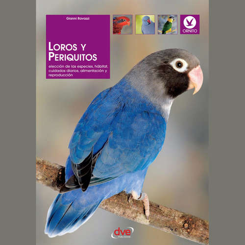 Audiolibro Loros y periquitos - Gianni Ravazzi - Male synthesized voice