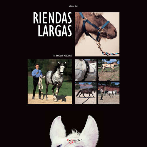 Audiolibro Riendas largas - Alfons Dietz - Male synthesized voice