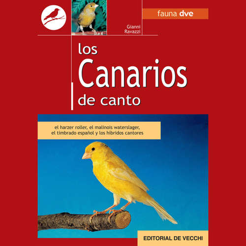 Audiolibro Los canarios de canto - Gianni Ravazzi - Male synthesized voice