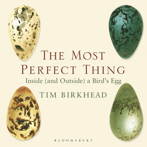 Audiobook The Most Perfect Thing - Tim Birkhead - Gareth Armstrong