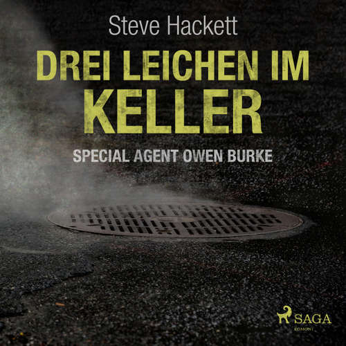 Drei Leichen im Keller - Special Agent Owen Burke 1