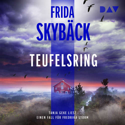 Hoerbuch Teufelsring. Ein Fall für Fredrika Storm - Fredrika Storm, Band 4 - Frida Skybäck - Tanja Geke