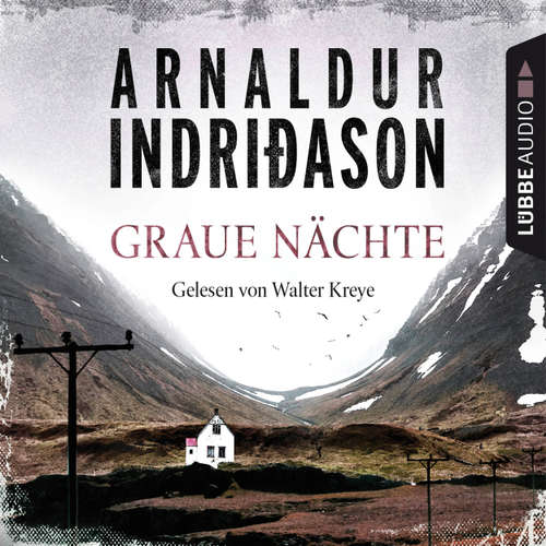 Graue Nächte - Island-Krimi - Flovent-Thorson-Krimis 2