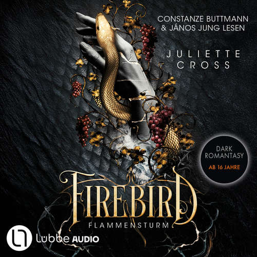 Hoerbuch Firebird - Flammensturm, Teil 1 - Juliette Cross - János Jung