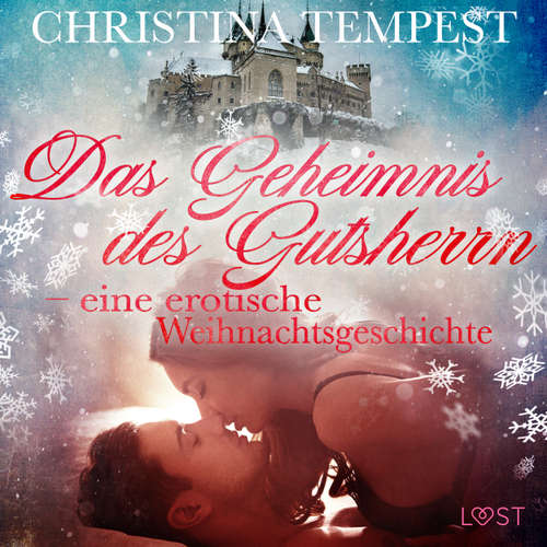 Das Geheimnis des Gutsherrn - eine erotische Weihnachtsgeschichte