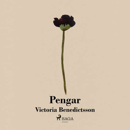 Audiokniha Pengar - Victoria Benedictsson - Åsa Kjellman Erici Audiokniha Pengar - Victoria Benedictsson - Åsa Kjellman Erici