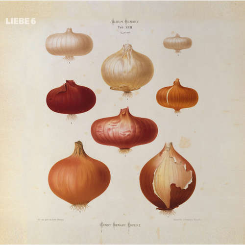 Hoerbuch Hagen Rether, Liebe 6 - Hagen Rether - Hagen Rether Hoerbuch Hagen Rether, Liebe 6 - Hagen Rether - Hagen Rether