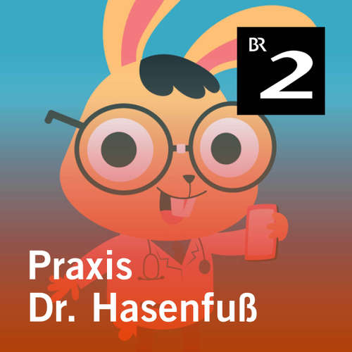 Hoerbuch Praxis Dr. Hasenfuß - Olga-Louise Dommel - Olga-Louise Dommel