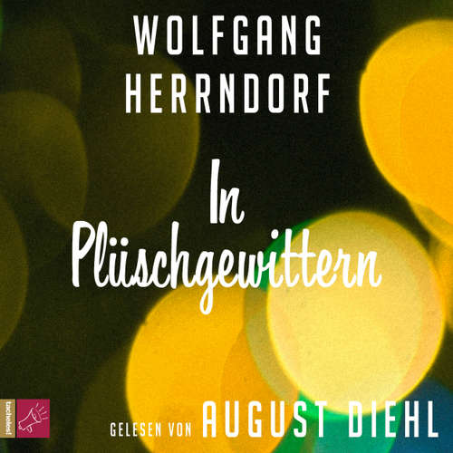 Hoerbuch In Plüschgewittern - Wolfgang Herrndorf - August Diehl