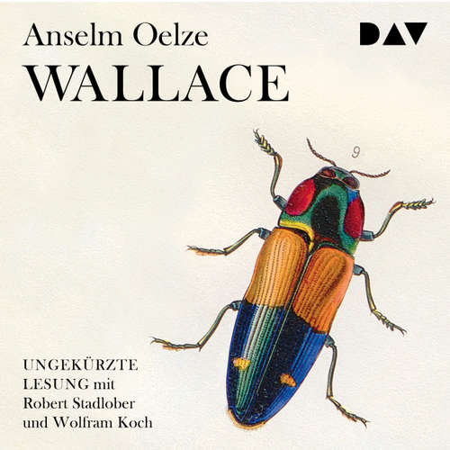 Hoerbuch Wallace - Anselm Oelze - Robert Stadlober Hoerbuch Wallace - Anselm Oelze - Robert Stadlober
