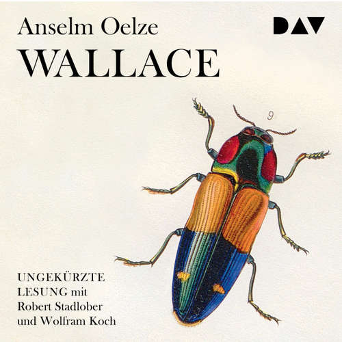 Hoerbuch Wallace - Anselm Oelze - Robert Stadlober