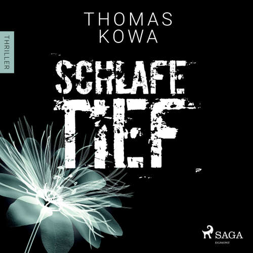 Schlafe tief - Kommissar Erik Lindberg-Reihe 1