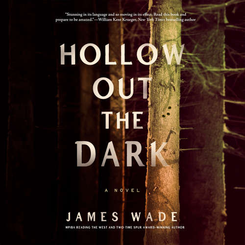 Audiobook Hollow Out the Dark - James Wade - Roger Clark