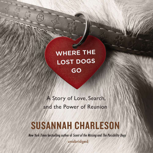 Audiobook Where the Lost Dogs Go - Susannah Charleson - Susannah Charleson