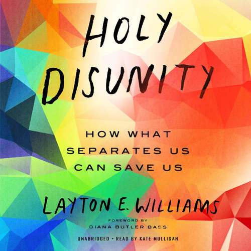 Audiobook Holy Disunity - Layton E. Williams - Kate Mulligan
