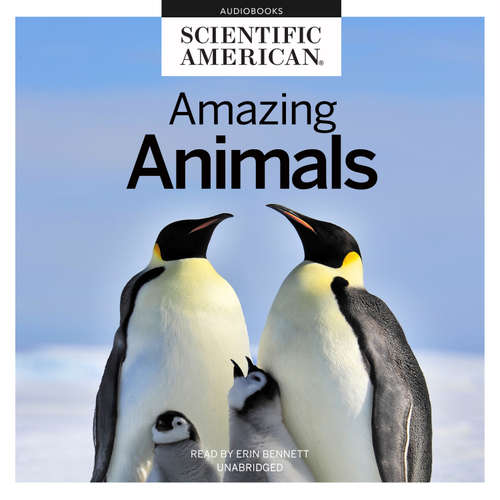 Audiobook Amazing Animals - Scientific American - Erin Bennett