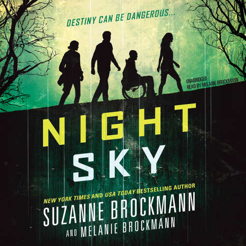 Audiobook Night Sky - Suzanne Brockmann - Melanie Brockmann
