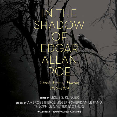 Audiobook In the Shadow of Edgar Allan Poe - Leslie S. Klinger - Traber Burns