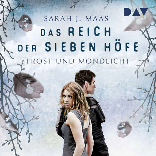 Frost und Mondlicht - Das Reich der sieben Höfe, Teil 4