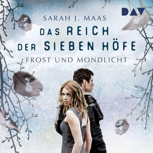 Hoerbuch Frost und Mondlicht - Das Reich der sieben Höfe, Teil 4 - Sarah J. Maas - Ann Vielhaben