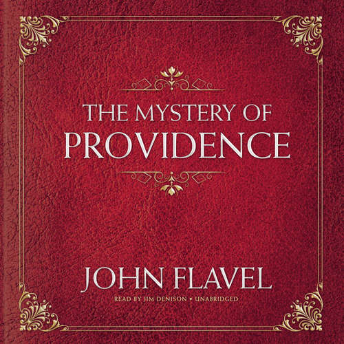 Audiobook The Mystery of Providence - John Flavel - Jim Denison