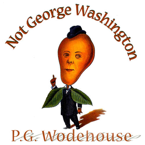 Audiobook Not George Washington - P. G. Wodehouse - Frederick Davidson